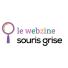Webzine souris grise