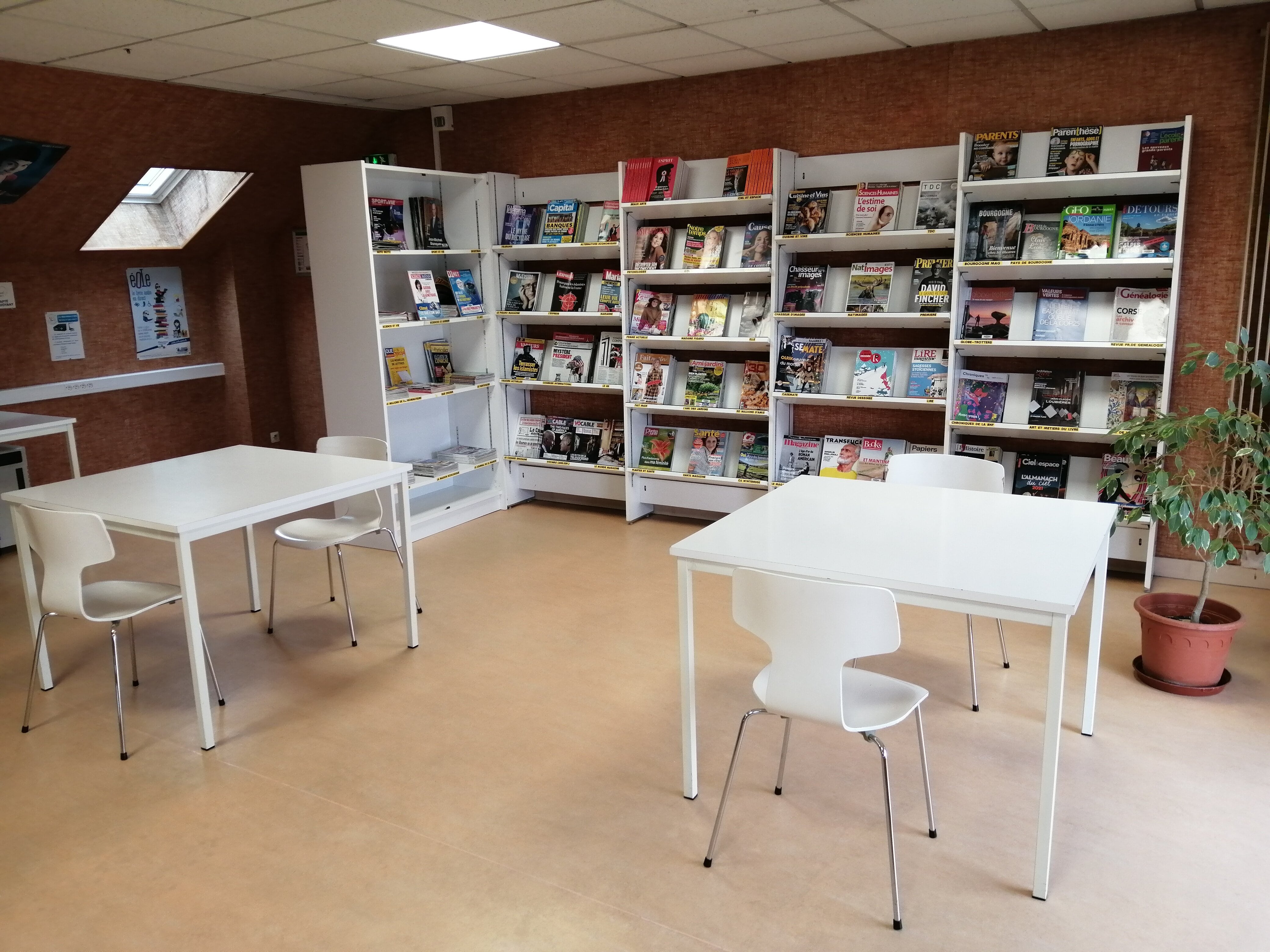 IMG 20201113 115334 1