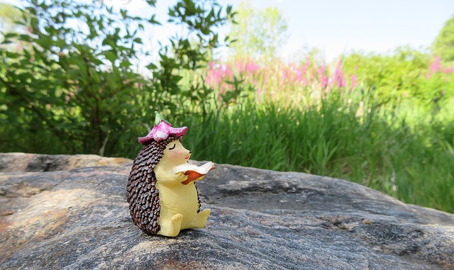 hedgehog 2639314 640