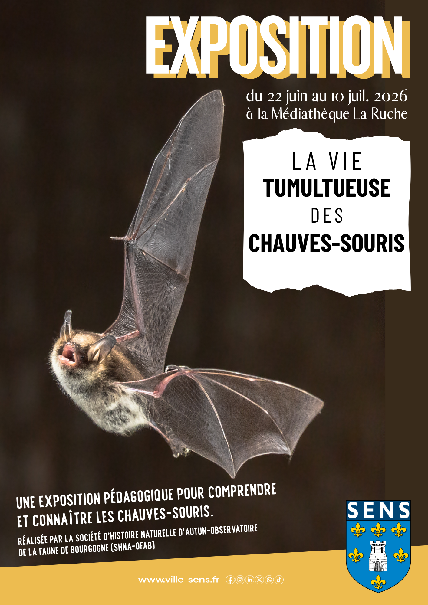 EC 2026 EXPO ChauveSouris AFF